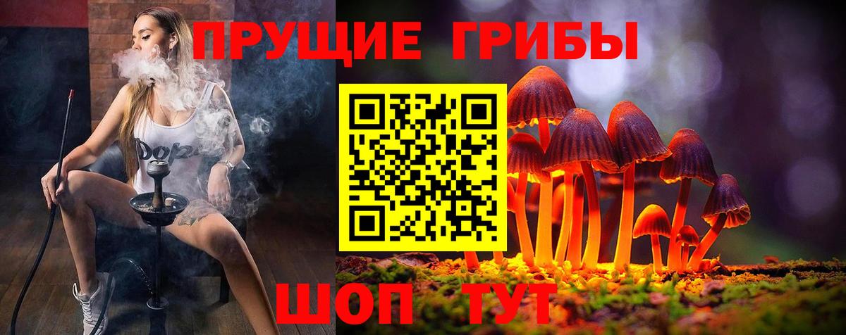 цены   Псилоцибиновые грибы прущие грибы  Новый Уренгой  Вход с VPN  Галлюциногенные грибы MAGIC MUSHROOMS 